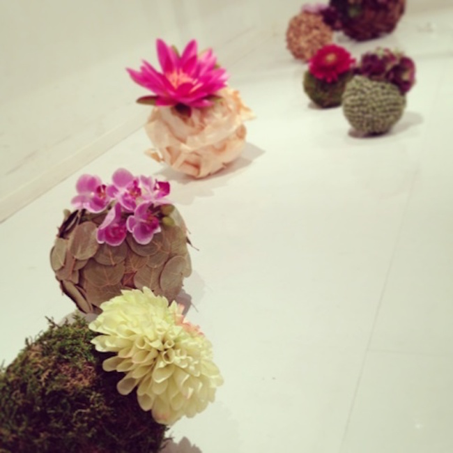 living_center_ozone_4