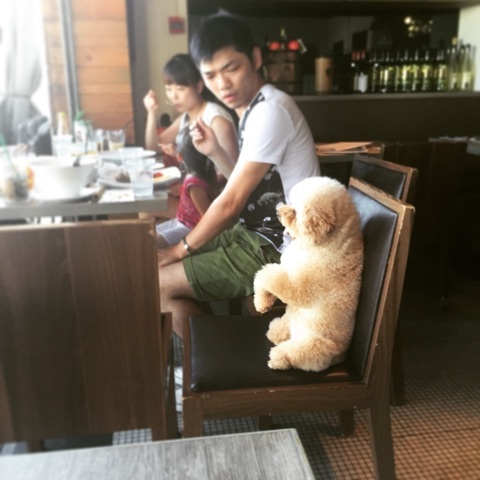 o0480048013342474197