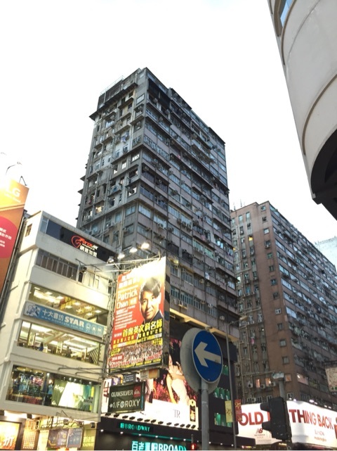 o0480064113337673519